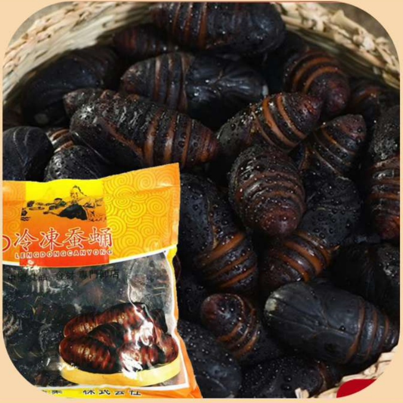 【冷冻】（nhộng ve sầu）东北冷冻蚕蛹袋装 500g