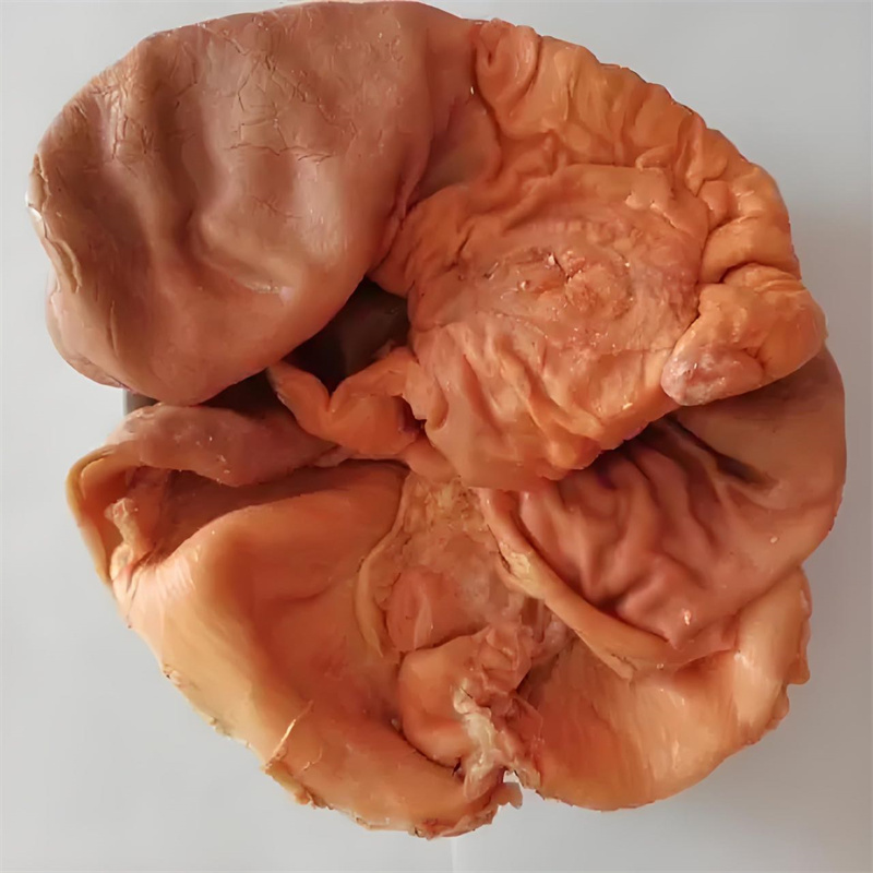【冷冻】（dạ dày lợn nấu sẵn）日本国产 熟猪肚1kg